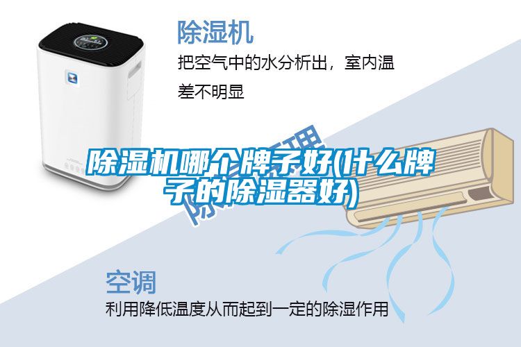 91抖音免费看片哪个牌子好(什么牌子的除湿器好)