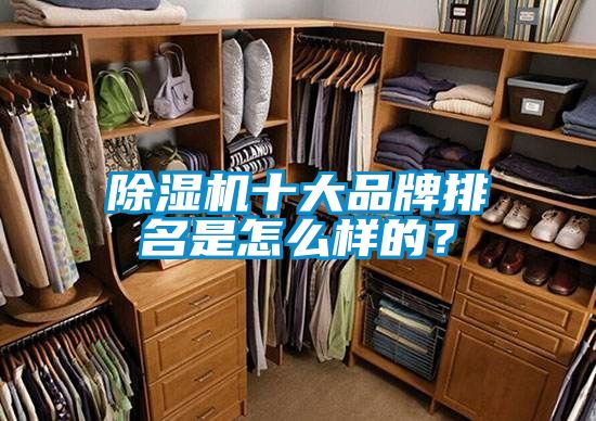 91抖音免费看片十大品牌排名是怎么样的？