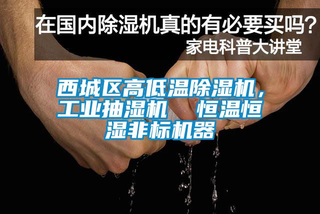 西城区高低温91抖音免费看片，工业抽湿机  恒温恒湿非标机器