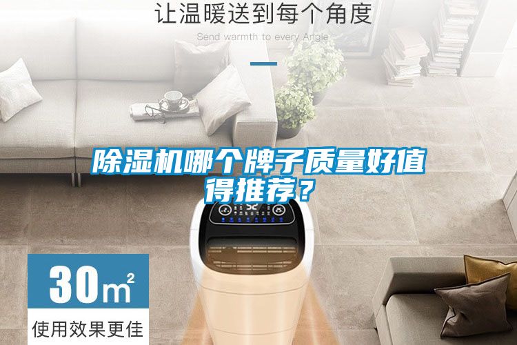91抖音免费看片哪个牌子质量好值得推荐？