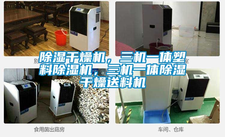 除湿干燥机，三机一体塑料91抖音免费看片，三机一体除湿干燥送料机