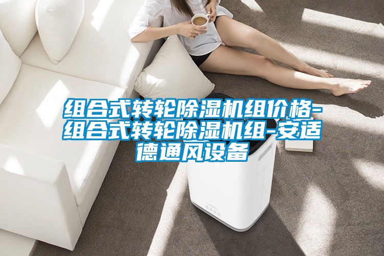 组合式转轮91抖音免费看片组价格-组合式转轮91抖音免费看片组-安适德通风设备