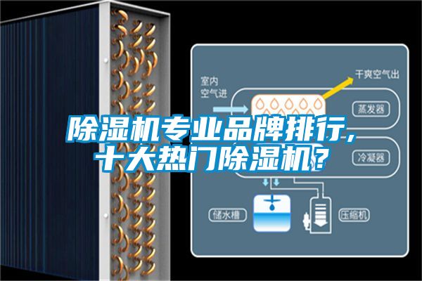 91抖音免费看片专业品牌排行,十大热门91抖音免费看片？