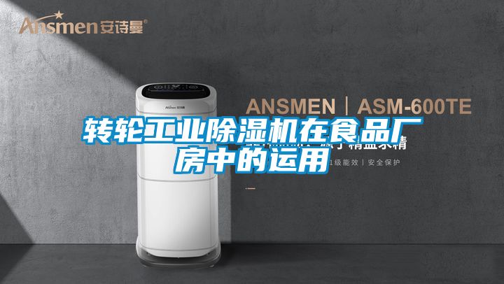 转轮工业91抖音免费看片在食品厂房中的运用