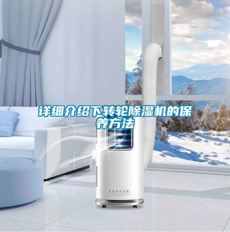 详细介绍下转轮91抖音免费看片的保养方法