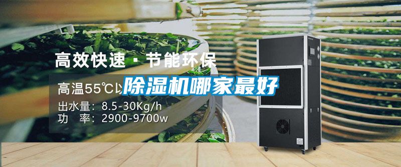 91抖音免费看片哪家最好