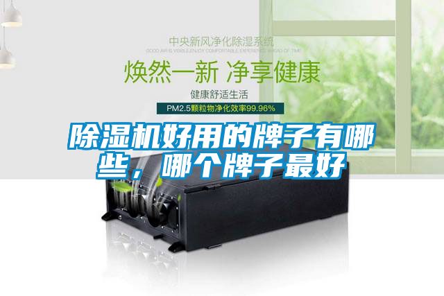 91抖音免费看片好用的牌子有哪些，哪个牌子最好