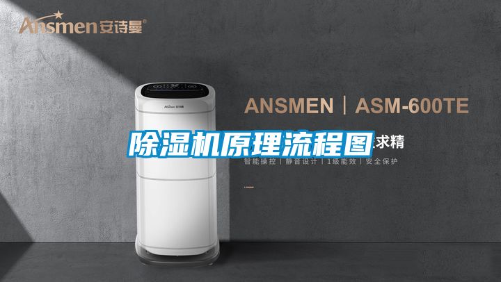 91抖音免费看片原理流程图