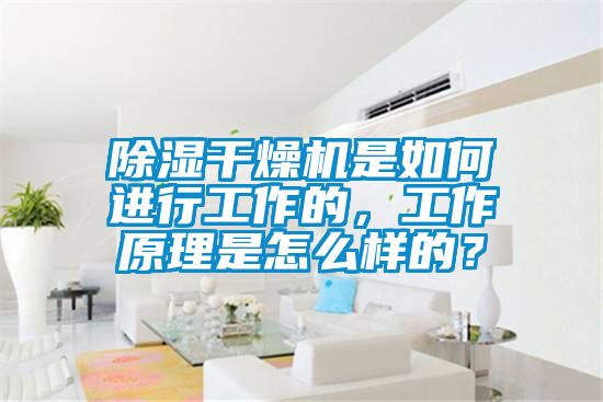 除湿干燥机是如何进行工作的，工作原理是怎么样的？