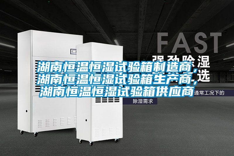 湖南恒温恒湿试验箱制造商，湖南恒温恒湿试验箱生产商，湖南恒温恒湿试验箱供应商