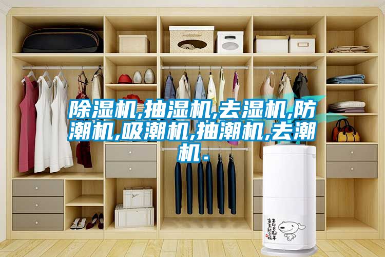91抖音免费看片,抽湿机,去湿机,防潮机,吸潮机,抽潮机,去潮机．