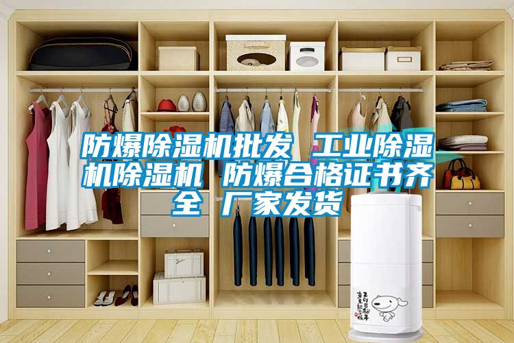 防爆91抖音免费看片批发 工业91抖音免费看片91抖音免费看片 防爆合格证书齐全 厂家发货