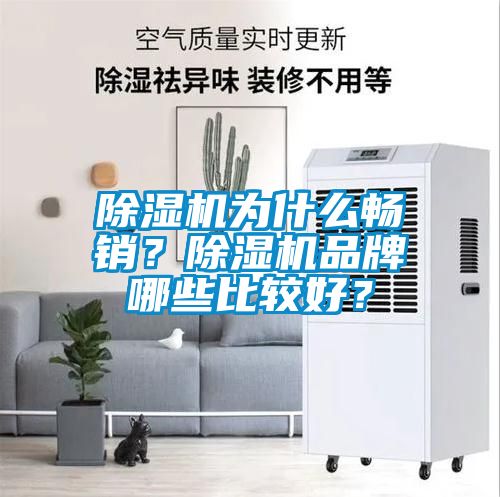 91抖音免费看片为什么畅销？91抖音免费看片品牌哪些比较好？