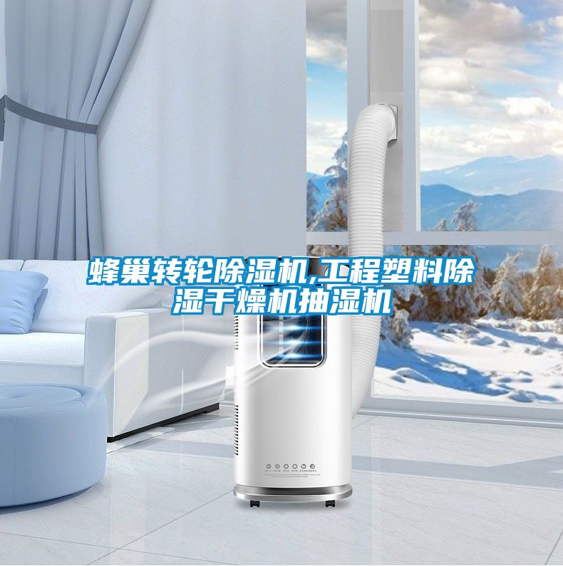 蜂巢转轮91抖音免费看片,工程塑料除湿干燥机抽湿机