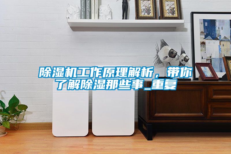 91抖音免费看片工作原理解析，带你了解除湿那些事_重复