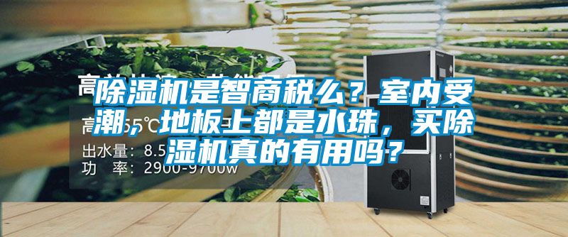 91抖音免费看片是智商税么？室内受潮，地板上都是水珠，买91抖音免费看片真的有用吗？