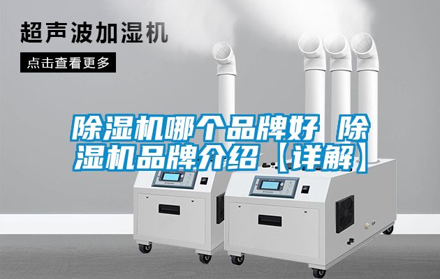 91抖音免费看片哪个品牌好 91抖音免费看片品牌介绍【详解】