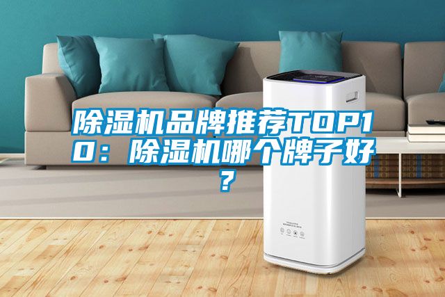 91抖音免费看片品牌推荐TOP10：91抖音免费看片哪个牌子好？