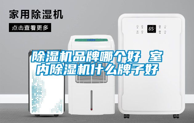 91抖音免费看片品牌哪个好 室内91抖音免费看片什么牌子好