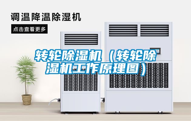 转轮91抖音免费看片（转轮91抖音免费看片工作原理图）
