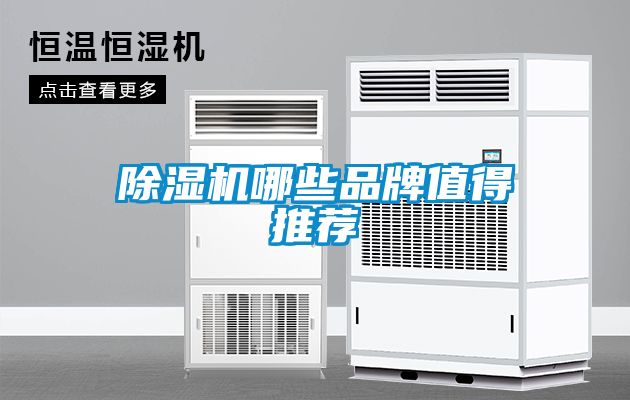 91抖音免费看片哪些品牌值得推荐