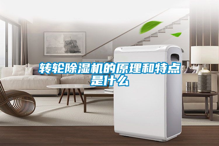 转轮91抖音免费看片的原理和特点是什么