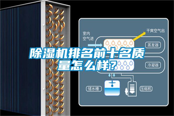 91抖音免费看片排名前十名质量怎么样？