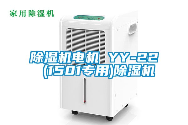 91抖音免费看片电机 YY-22 (1501专用)91抖音免费看片