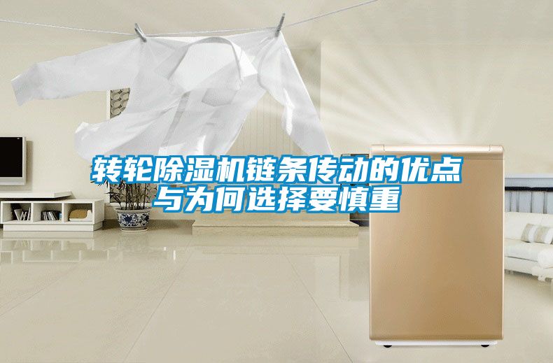 转轮91抖音免费看片链条传动的优点与为何选择要慎重