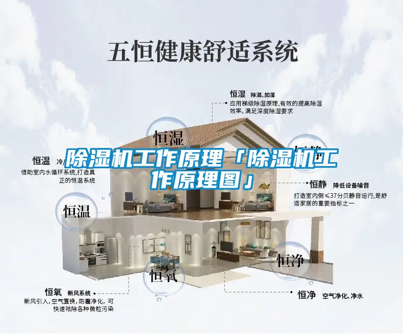 91抖音免费看片工作原理「91抖音免费看片工作原理图」