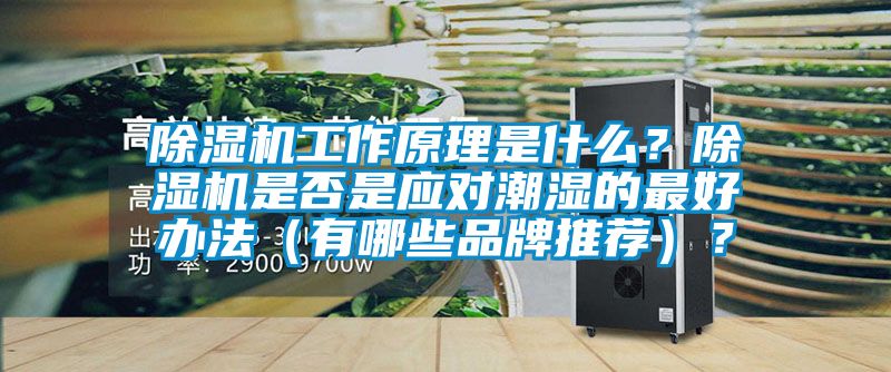 91抖音免费看片工作原理是什么？91抖音免费看片是否是应对潮湿的最好办法（有哪些品牌推荐）？