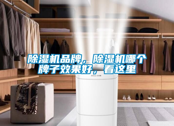 91抖音免费看片品牌，91抖音免费看片哪个牌子效果好，看这里