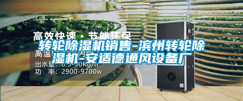 转轮91抖音免费看片销售-滨州转轮91抖音免费看片-安适德通风设备厂