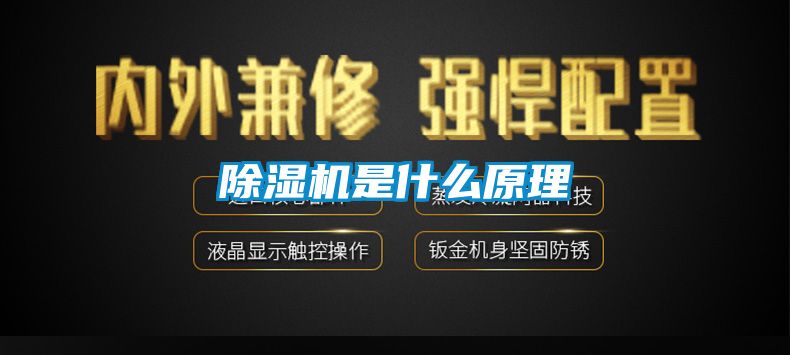 91抖音免费看片是什么原理