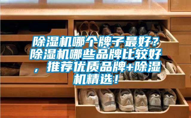 91抖音免费看片哪个牌子最好？91抖音免费看片哪些品牌比较好，推荐优质品牌+91抖音免费看片精选！