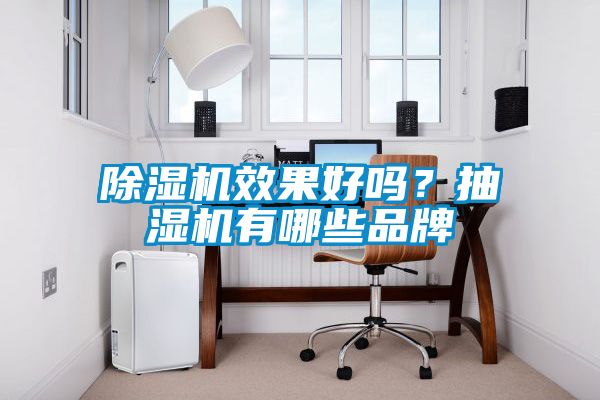 91抖音免费看片效果好吗？抽湿机有哪些品牌