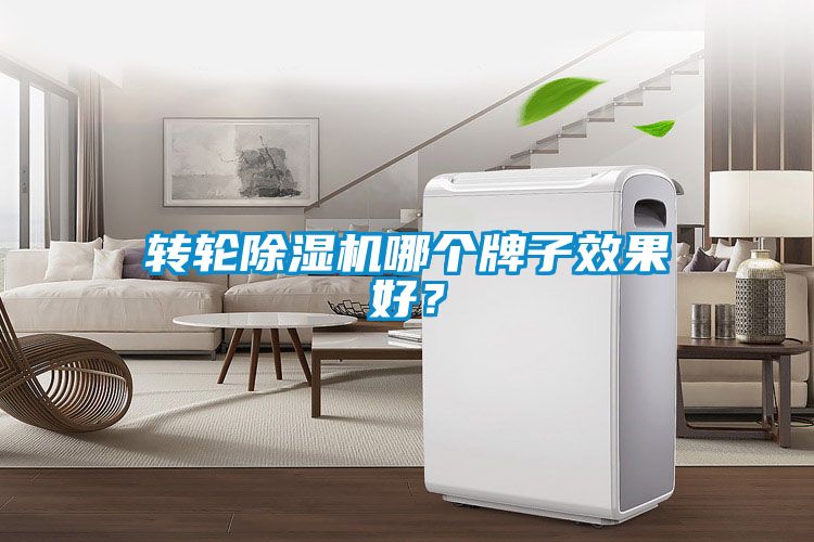 转轮91抖音免费看片哪个牌子效果好？