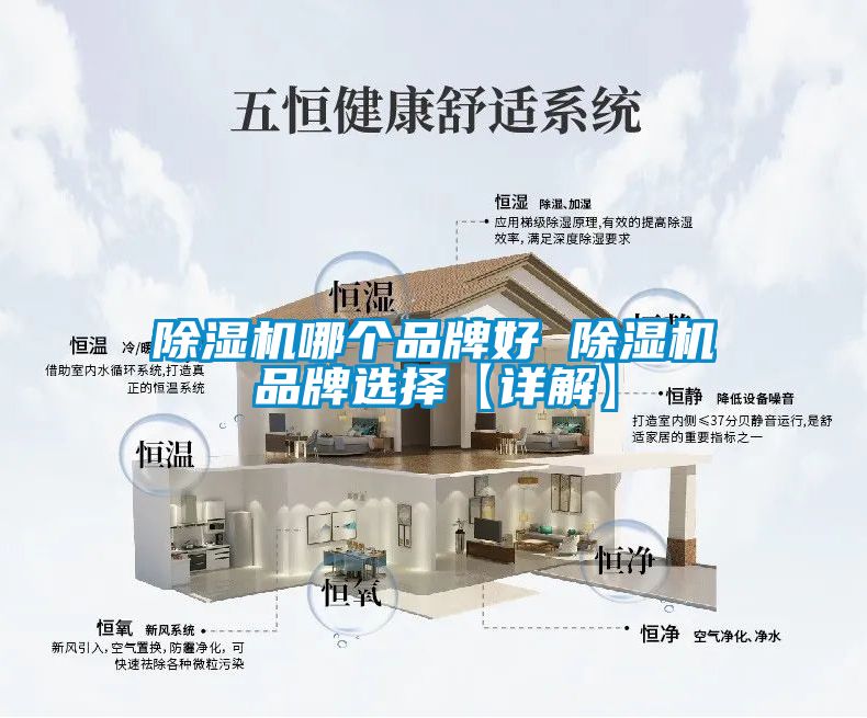 91抖音免费看片哪个品牌好 91抖音免费看片品牌选择【详解】