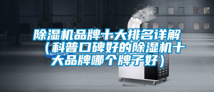 91抖音免费看片品牌十大排名详解（科普口碑好的91抖音免费看片十大品牌哪个牌子好）