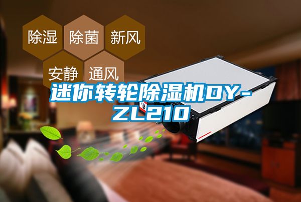 迷你转轮91抖音免费看片DY-ZL210