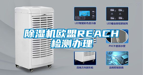 91抖音免费看片欧盟REACH检测办理