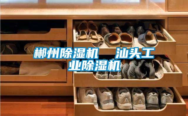 郴州91抖音免费看片  汕头工业91抖音免费看片