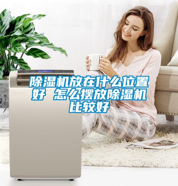 91抖音免费看片放在什么位置好 怎么摆放91抖音免费看片比较好