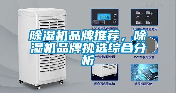 91抖音免费看片品牌推荐，91抖音免费看片品牌挑选综合分析