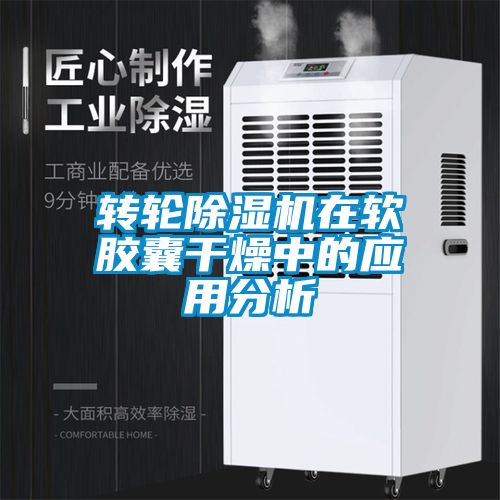 转轮91抖音免费看片在软胶囊干燥中的应用分析