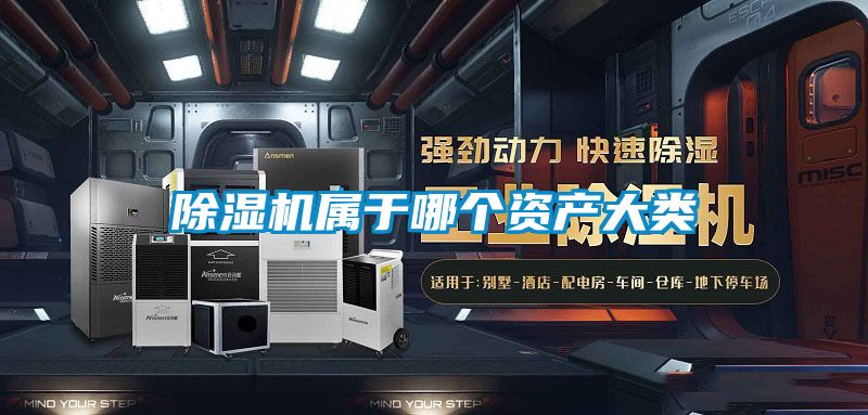 91抖音免费看片属于哪个资产大类