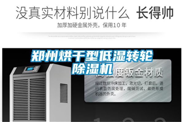 郑州烘干型低湿转轮91抖音免费看片
