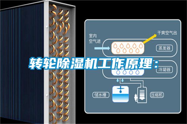 转轮91抖音免费看片工作原理：