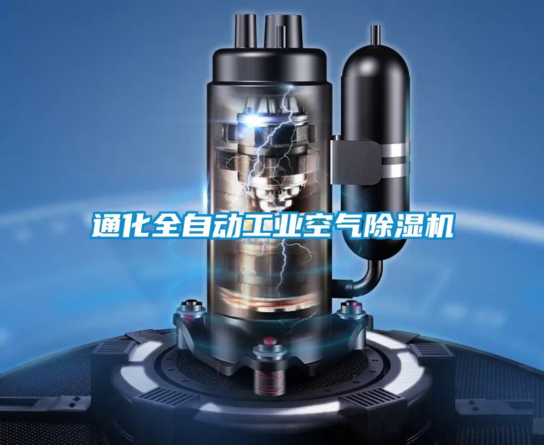 通化全自动工业空气91抖音免费看片