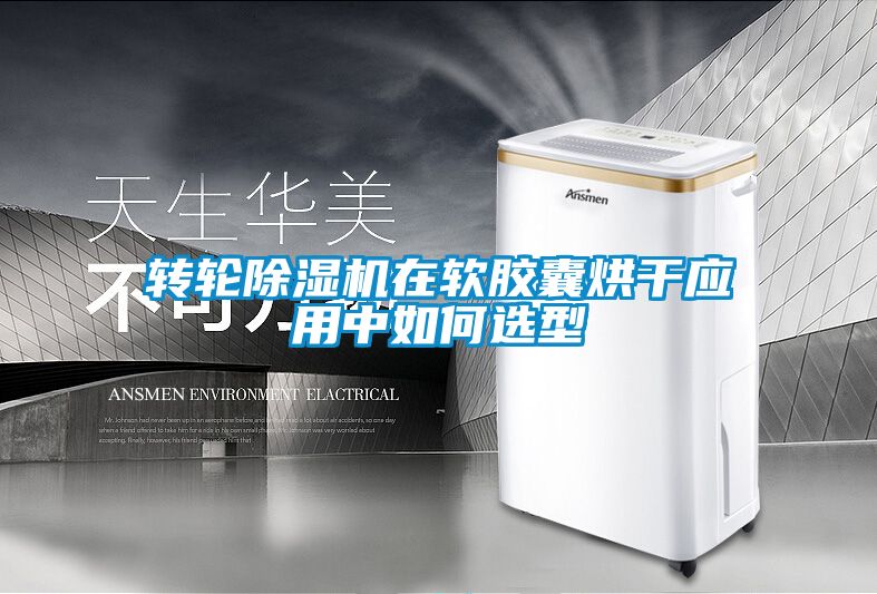 转轮91抖音免费看片在软胶囊烘干应用中如何选型